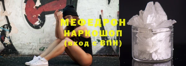 индика Заводоуковск