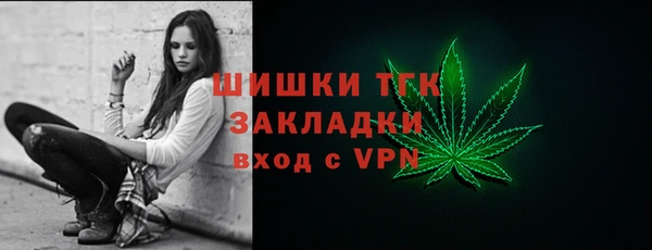 индика Заводоуковск