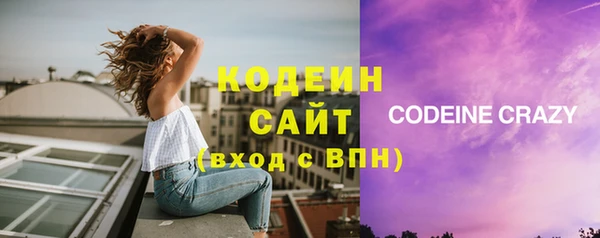 индика Заводоуковск