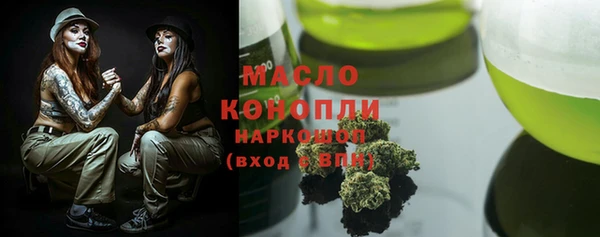 индика Заводоуковск