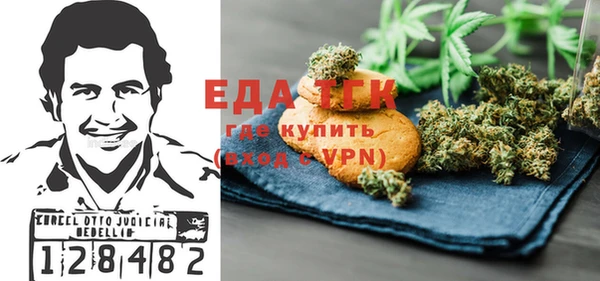 индика Заводоуковск