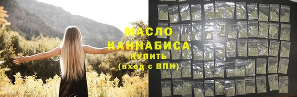 индика Заводоуковск