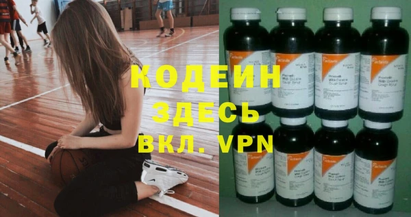 индика Заводоуковск