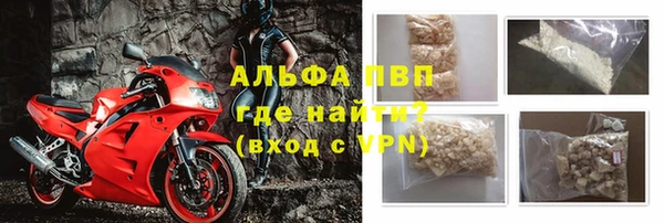 индика Заводоуковск