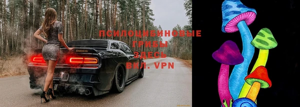 индика Заводоуковск