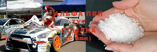 индика Заводоуковск