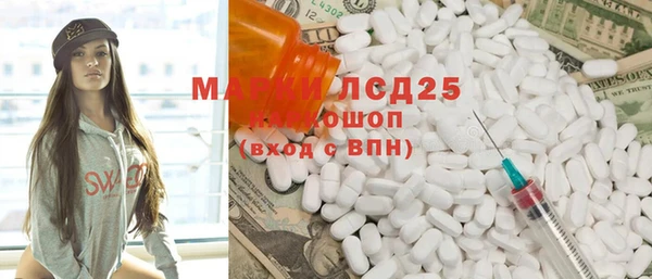 индика Заводоуковск