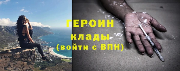 индика Заводоуковск