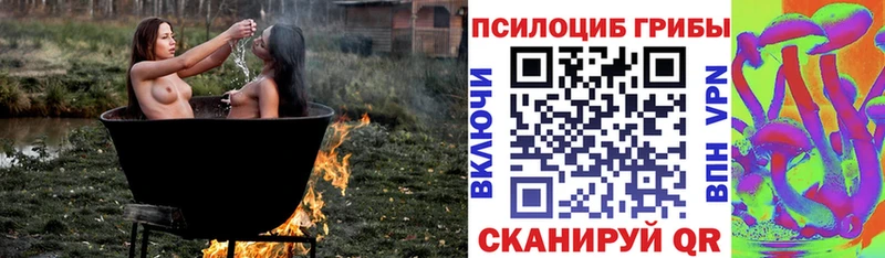 Галлюциногенные грибы мухоморы  Купить где  Ефремов 